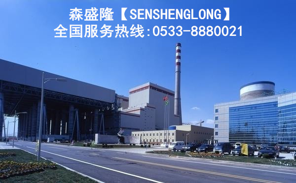 山东电厂循环水阻垢剂应用实例